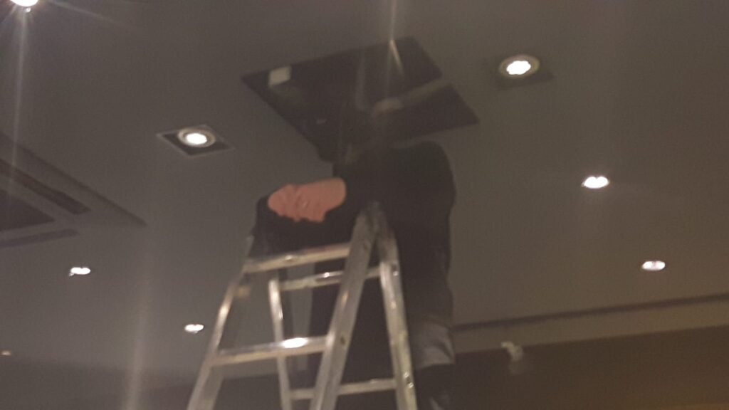fotografie opere d'arte