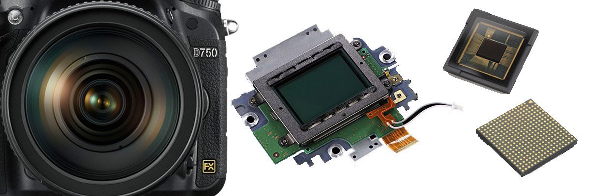 confronto d500 vs d750